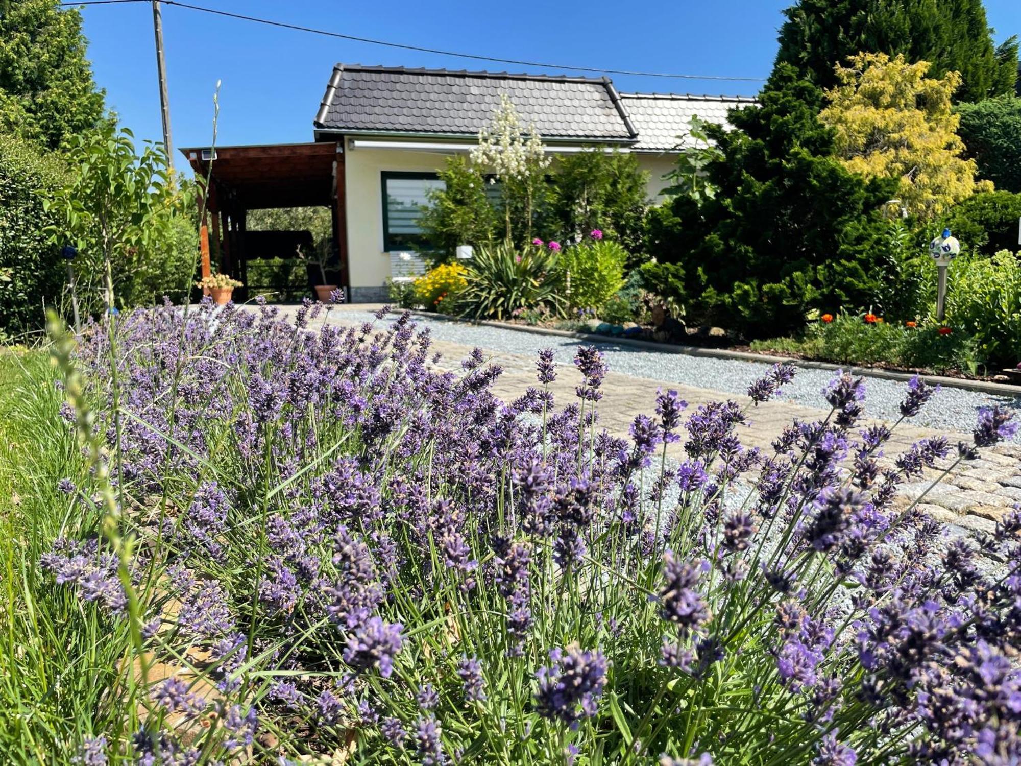 Ferienhaus Amare Mit Fasssauna, Eigener Terrasse & Kamin เบาท์เซน ภายนอก รูปภาพ